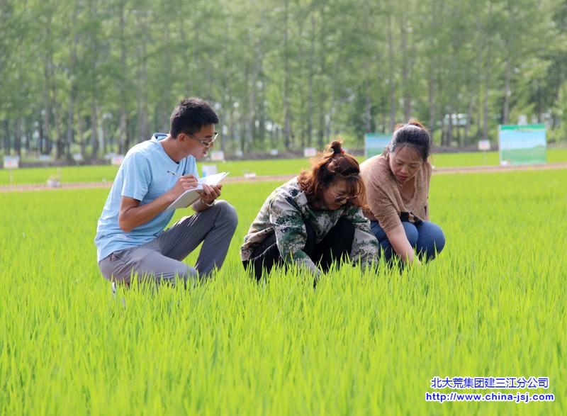 四区季大宇（科技服务在田间）.JPG