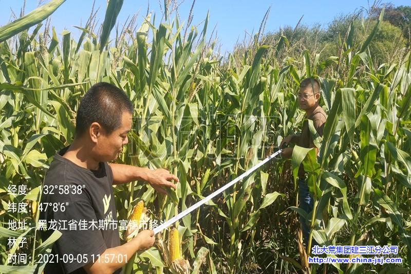 QQ图片20210906080257.jpg