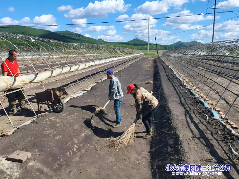 2024一区大棚环境治理 (1)(1).jpg