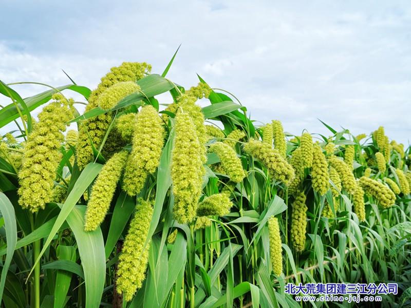 19fc0621050d73fdeebc092bf9b8e7d3_副本.jpg
