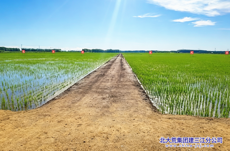修图需求 (1)_副本.png 修图需求 (1)_副本.png