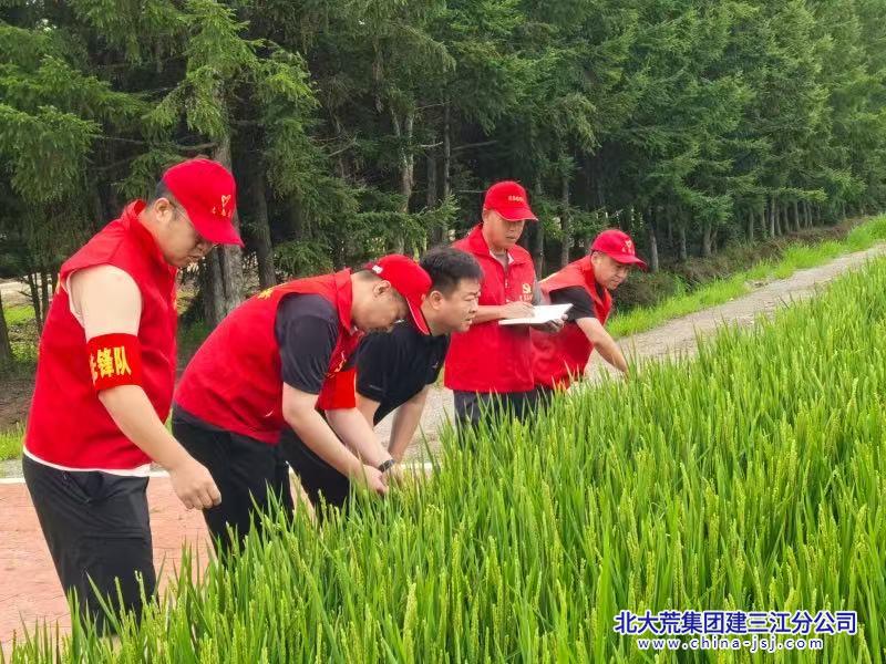 微信图片_20260731144906_506_891.jpg 微信图片_20260731144906_506_891.jpg