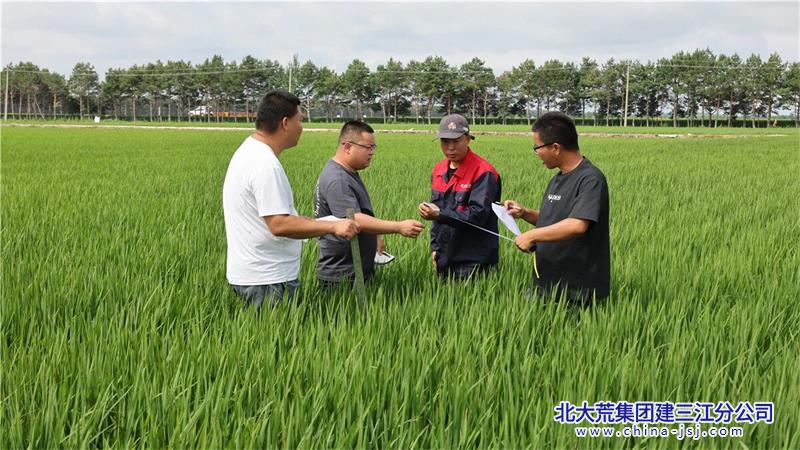 技术指导2.jpg 技术指导2.jpg