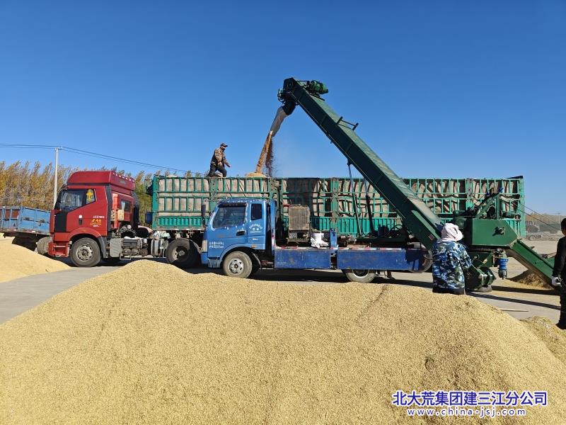 34建三江信息港-第二管理区新粮出售现场_副本_副本.jpg