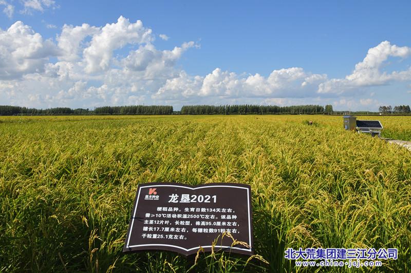 DSC_0170_副本.jpg DSC_0170_副本.jpg