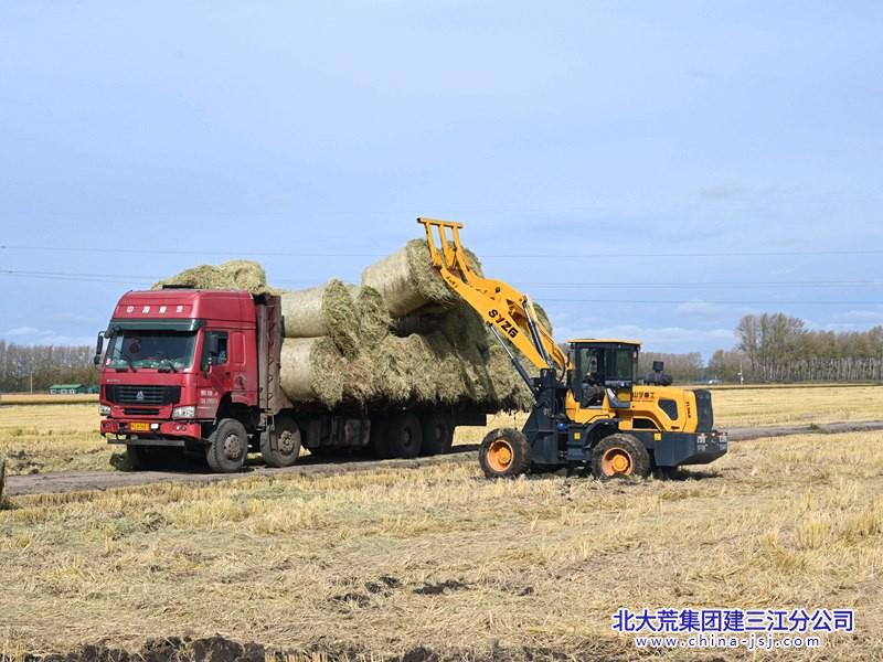 DSC_9299_副本_副本.jpg DSC_9299_副本_副本.jpg