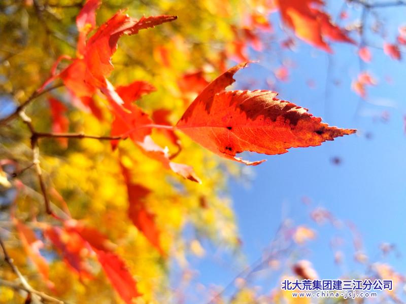 02fbc5ef4fe779f9f8eaeed871b763a4_副本.jpg