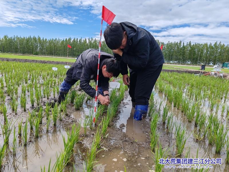 微信图片_20250612080251.jpg