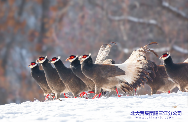 三江雄赳赳1.png