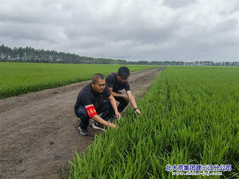 微信图片_20260706080146_726_58.jpg 微信图片_20260706080146_726_58.jpg