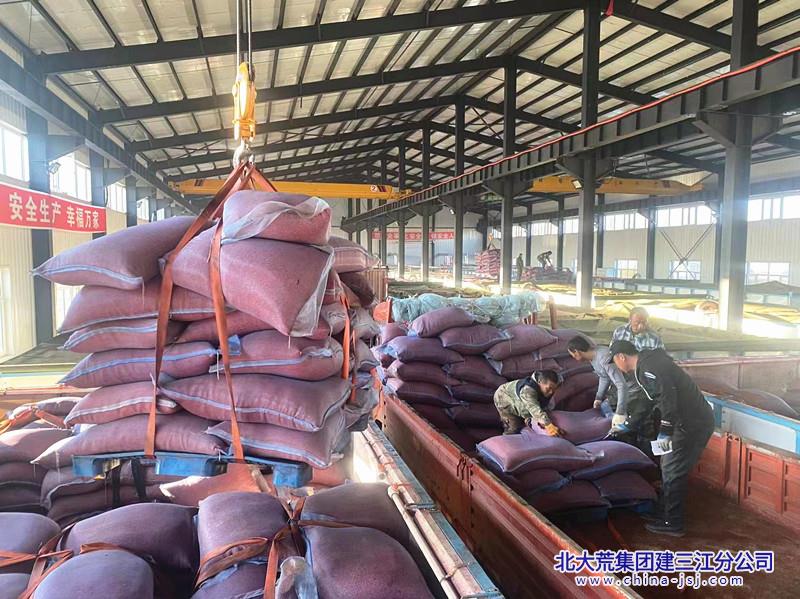 芽种出箱 (2).jpg