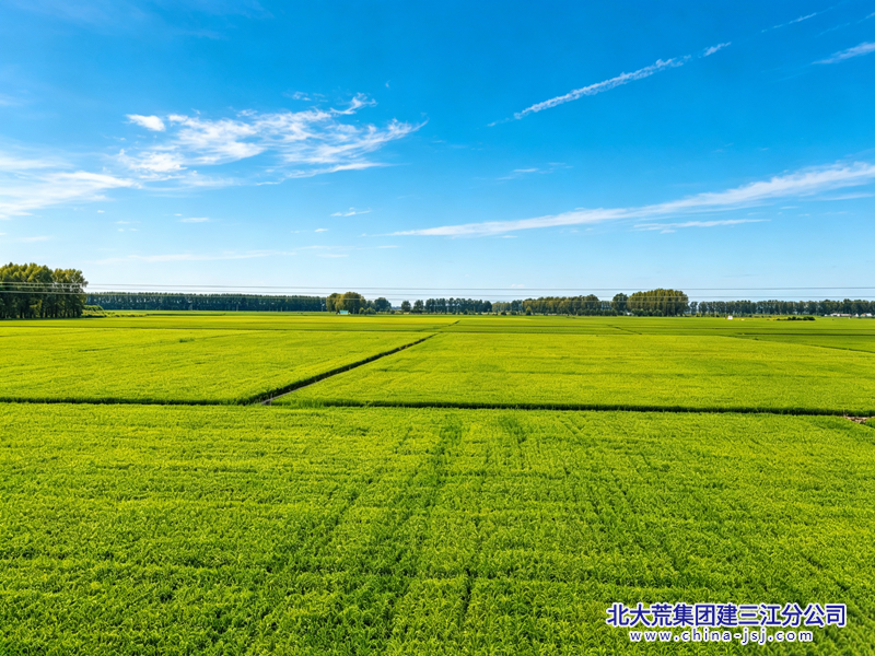 e58c6f152e7d47f19c40b491210010c3_副本.png