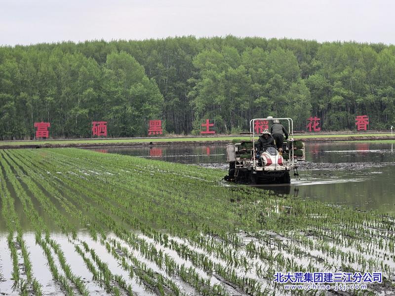 微信图片_20260521082518_2609_87.jpg