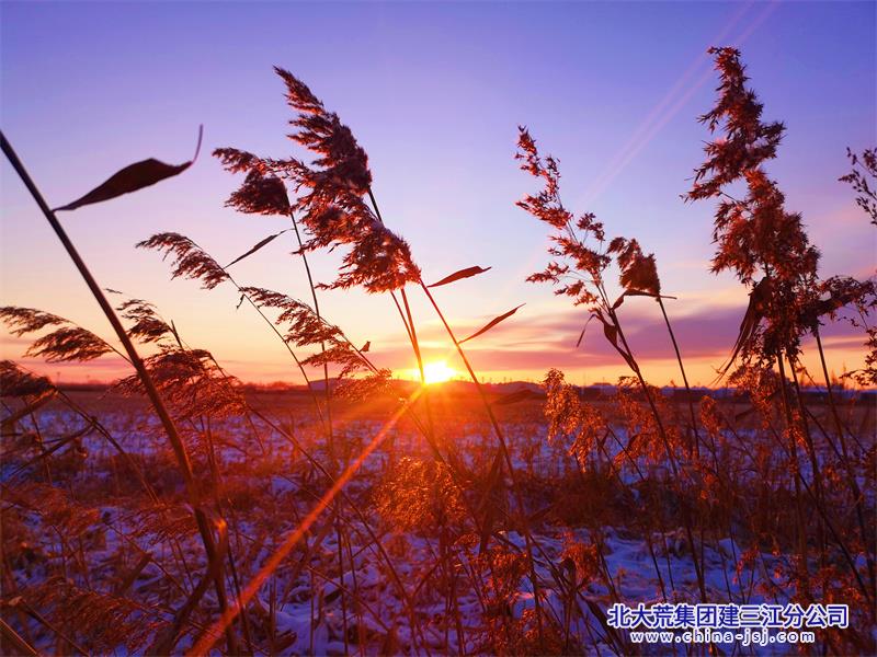 IMG_20201224_150714_副本.jpg
