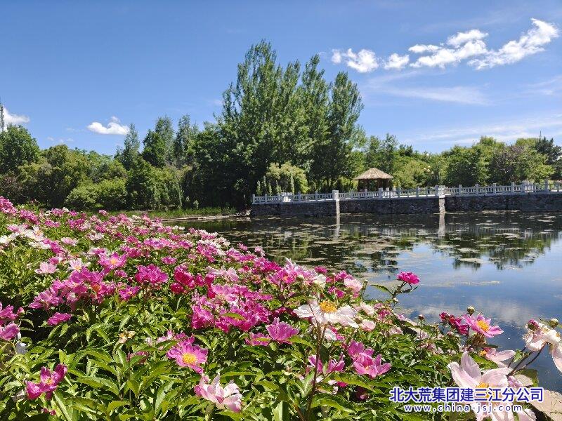 亭塘花事.jpg