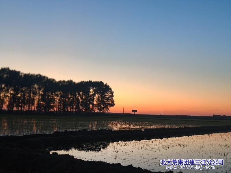 IMG20260530192140.jpg