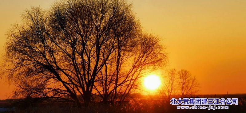 枝影揽夕晖.jpg