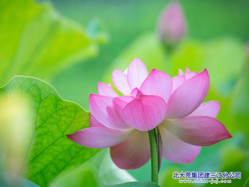 4976f46c04893d105c75093a2cc7807c_副本.jpg