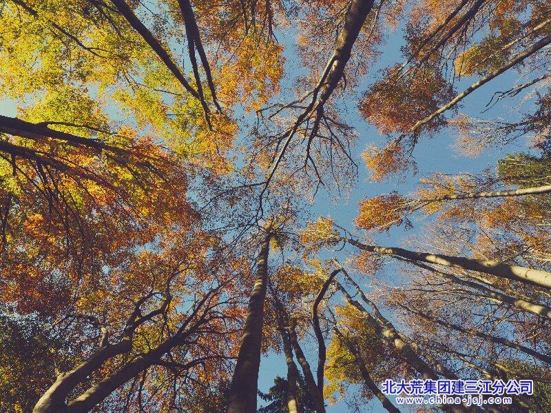 繁柯向宇.jpg