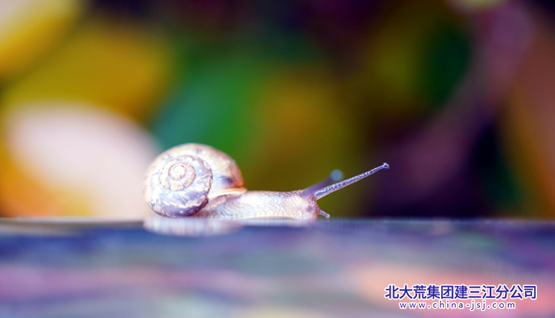 QQ_1780359499191.png