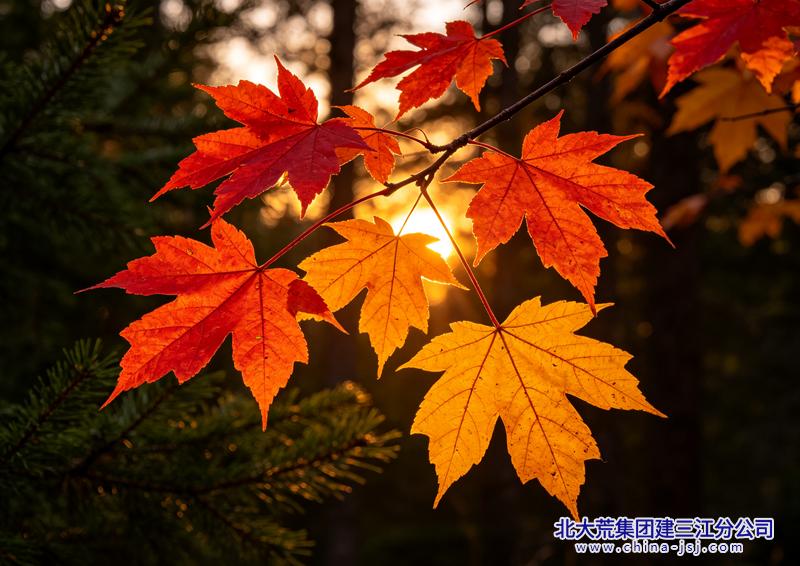 5dc4337088fa87881d98669f23e83d82_副本.png