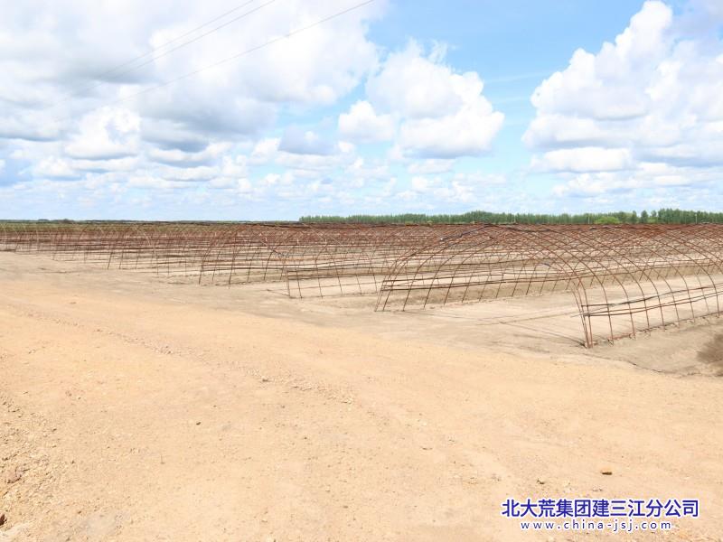 第二管理区:大棚基地(1).jpg 第二管理区:大棚基地(1).jpg