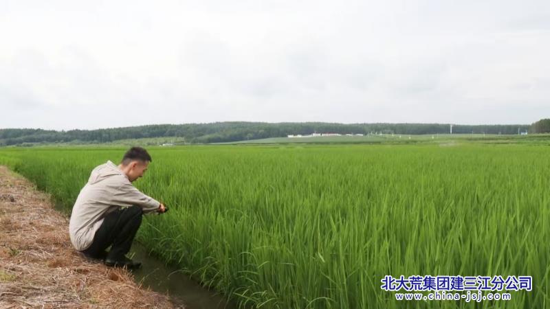 微信图片_20250723065422_副本.jpg
