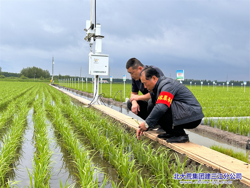 七星分公司把稻田装进“数据库” 智慧农业精耕“沃野良田”(七星分公司顾鹏飞17745215001)图片.png 七星分公司把稻田装进“数据库” 智慧农业精耕“沃野良田”(七星分公司顾鹏飞17745215001)图片.png