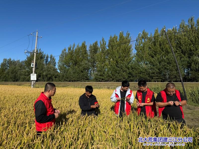 二区照片十一国庆 秋收党员志愿服务 (24).jpg