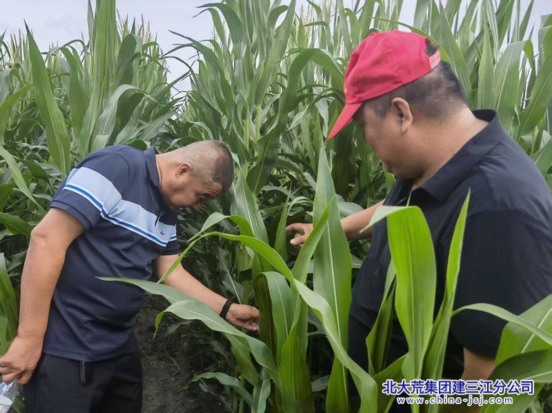 微信图片_20260810103849_1148_5.jpg 微信图片_20260810103849_1148_5.jpg