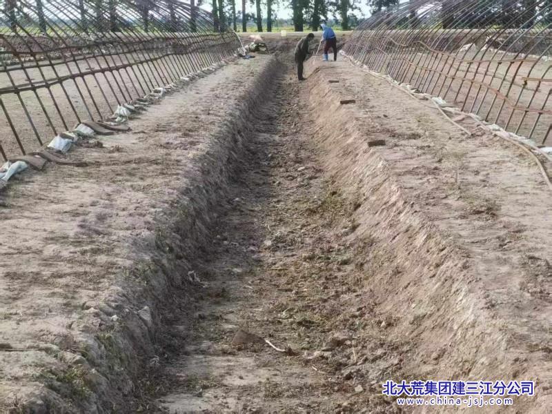 五边大棚治理 (1).jpg