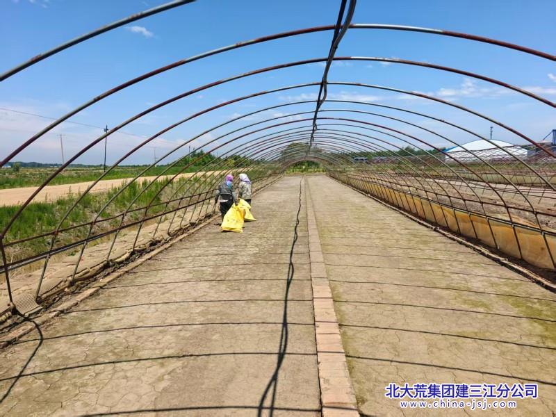 五边大棚治理 (2).jpg