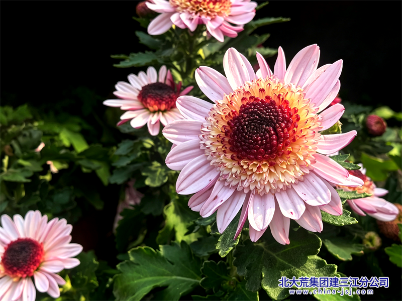 IMG_20260911_080440.png