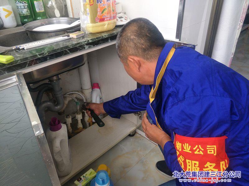 800 志愿.jpg