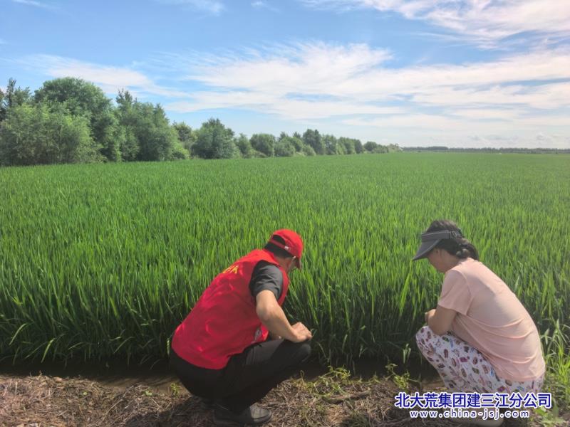 建三江发稿党员服务群众.jpg 建三江发稿党员服务群众.jpg