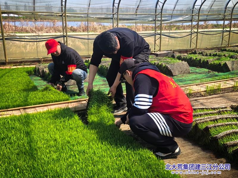 微信图片_20260513140049_1348_4.jpg