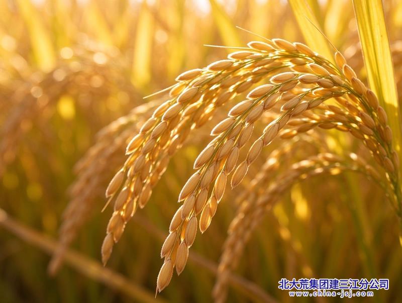 佳木斯9月底艺术照片_副本.jpg