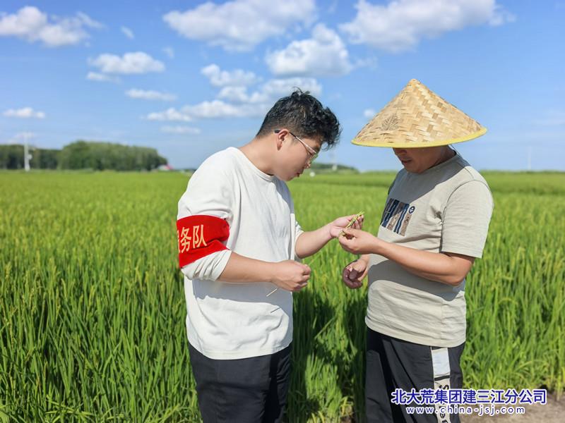 IMG_20260809_140914_副本.jpg IMG_20260809_140914_副本.jpg