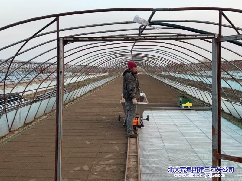 第二管理区秋摆盘1_副本.jpg 第二管理区秋摆盘1_副本.jpg