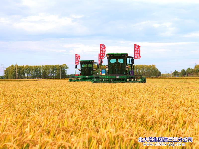 eb287467730a4c7c4e4719eb01578405_副本.jpg