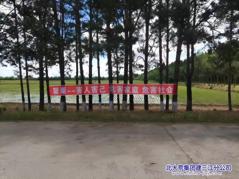 2025 禁毒宣传照片 (1)800+600.jpg