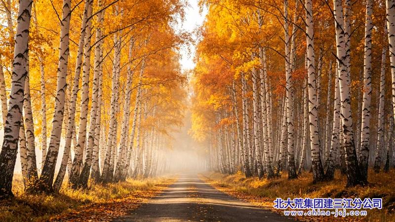 7aed3e60b896acbce6ce1563541b3830_副本.jpg