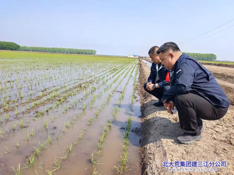 微信图片_20260521143054.jpg 微信图片_20260521143054.jpg