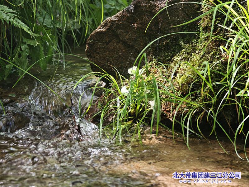mvimg_20260714_101853_0_2026-07-29_09-51-42_077_副本.jpg