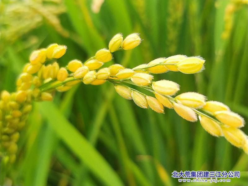 IMG_20260828_081956_副本.jpg