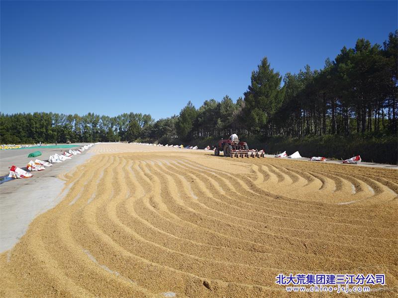 微信图片_20260918092609_42_85 - 副本.jpg 微信图片_20260918092609_42_85 - 副本.jpg