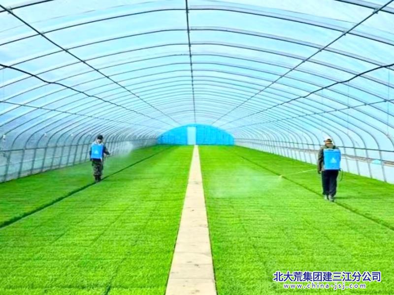 微信图片_20260506090132_2247_10_副本.jpg