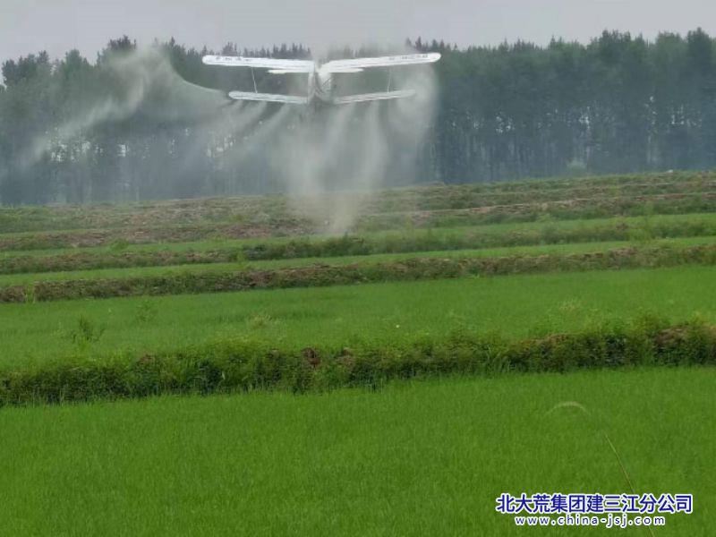 水稻飞机航化 (2).jpg