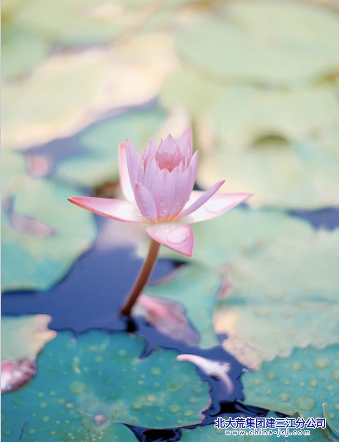 9b027881-b0f1-41ea-bcd9-1bf57fe42e2e.png