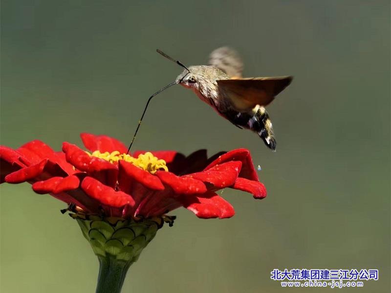 微信图片_20230928082209.jpg